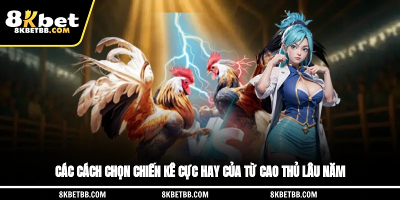Các cách chọn chiến kê cực hay của từ cao thủ lâu năm