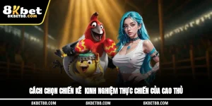 Cách Chọn Chiến Kê - Kinh Nghiệm Thực Chiến Của Cao Thủ