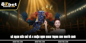Gà Bạch Đầu Chỉ Và 4 Nhận Định Quan Trọng Cho Người Chơi