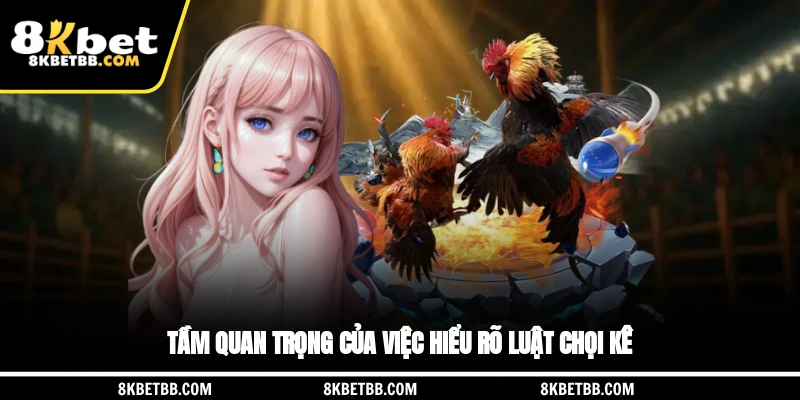 Tầm quan trọng của việc hiểu rõ luật chọi kê
