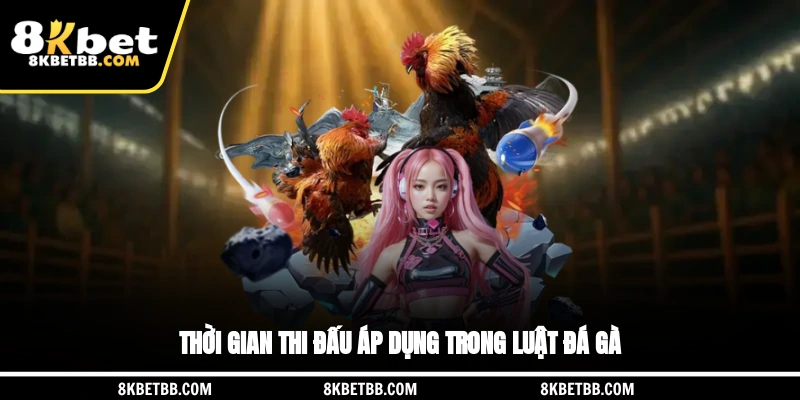 Thời gian thi đấu áp dụng trong luật đá gà