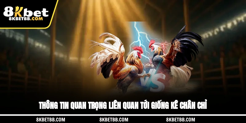 Thông tin quan trọng liên quan tới giống kê chân chỉ