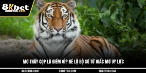Mơ Thấy Cọp Là Điềm Gì? Hé Lộ Bộ Số Từ Giấc Mơ Uy Lực