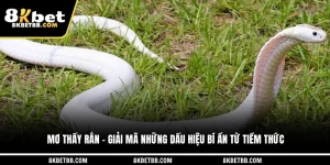 Mơ Thấy Rắn - Giải Mã Những Dấu Hiệu Bí Ẩn Từ Tiềm Thức