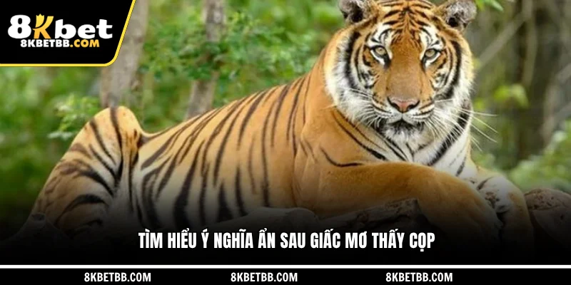 Tìm hiểu ý nghĩa ẩn sau giấc mơ thấy cọp
