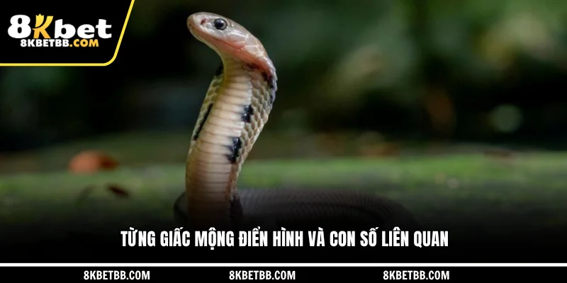 Từng giấc mộng điển hình và con số liên quan